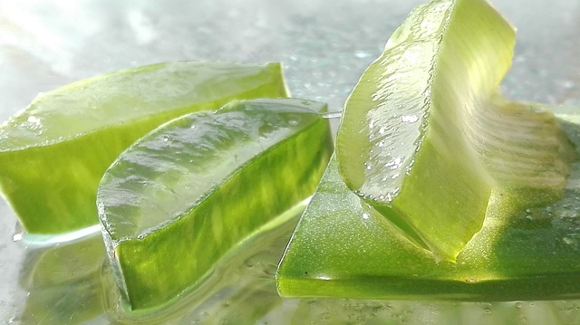 Aloe Vera a cosa serve, benefici e possibili effetti collaterali